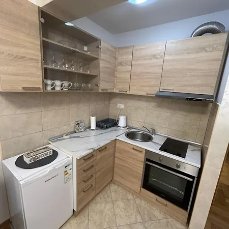 アパート Mountain Dreams ズラティボール