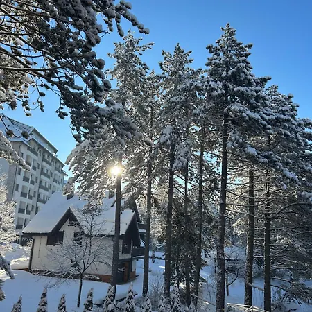 Mountain Dreams * ズラティボール