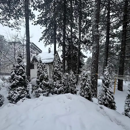 Mountain Dreams アパート