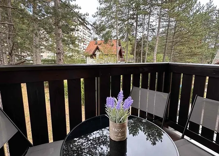 Mountain Dreams شقة *