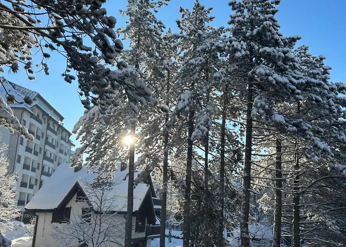 Mountain Dreams * زلاتيبور