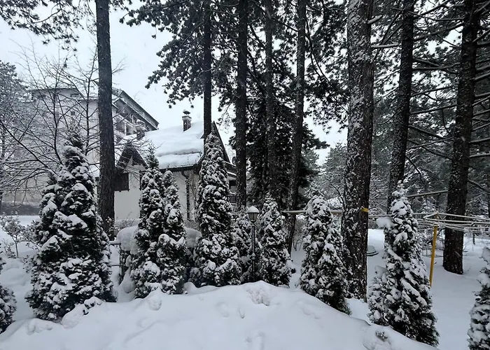 Mountain Dreams شقة